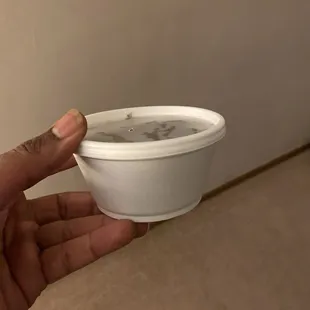 Very small portion for $18