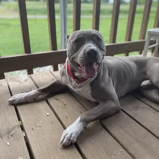 Nikki S.