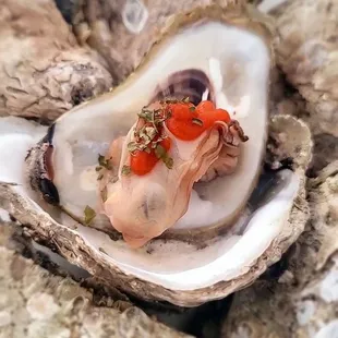 oysters, oysters and mussels, food, mussels, shellfish