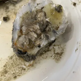 oyster on half shell
