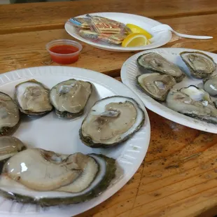 Raw Oysters