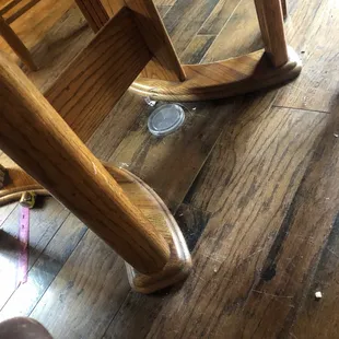 The amazing deer  I say