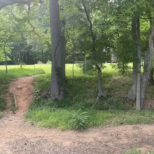 Anne Springs Close Greenway July 1, 2021