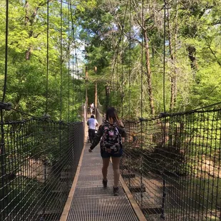 Swinging Bridge
