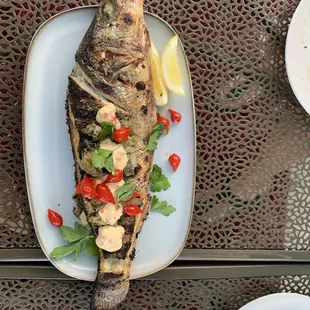 Whole Fish