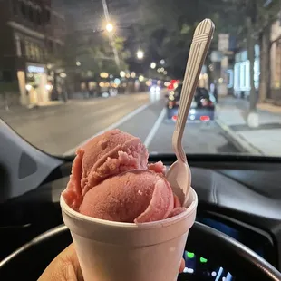 Blood Orange Italian Ice