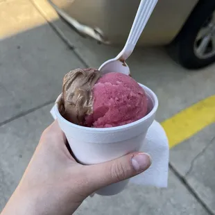 Italian Froyo - Pomegranate &amp; Chocolate