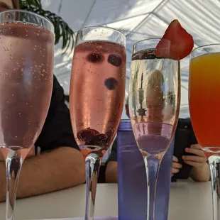 Mimosa flight Cotton candy Rose Sandia Classic