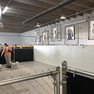 Small pup area