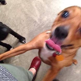 Rhubarb loves making new friends!!!