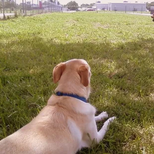 fun times in the shade.