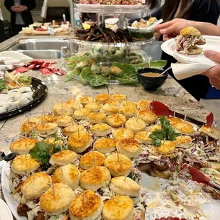 Fried chicken biscuits, spring rolls, portobello skewers, and mini loaded potatoes