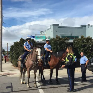 Mounted police