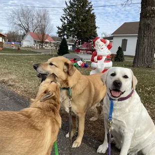 Anoka County Fair holiday lights are being set up today
