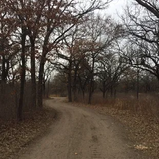 Gravel path