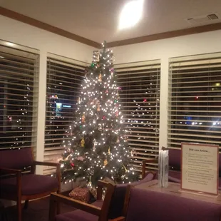 O Christmas tree o Christmas tree...