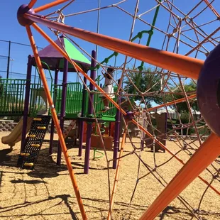 Check out this amazing spider gym!!!