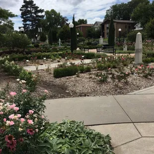 The Hamann Rose Garden