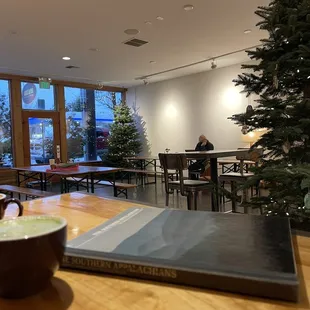 Matcha tea, book, tree