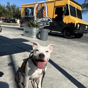 Monroe x Anthony's  tacos