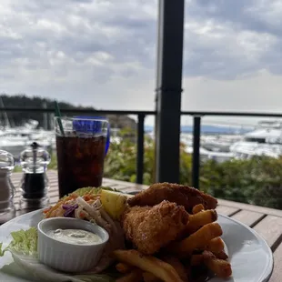 a plate of fish and chips