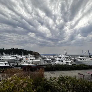 a view of the marina