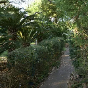 The front gardens are a great place to see birds, squirrels and Mr. P - the neighborhood peacock!