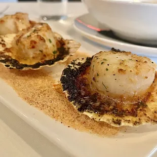 Scallop in shell appetizer (they were huge)