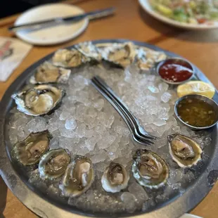 Oysters