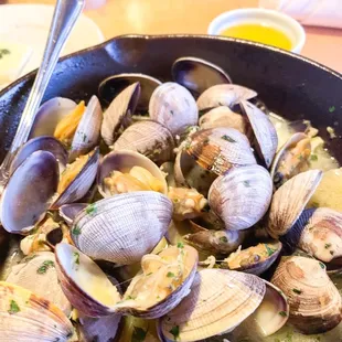 Manila clams