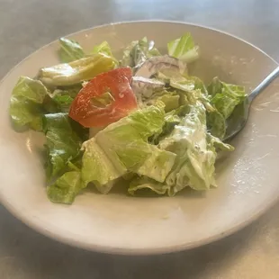 Fresh! Side salad with ranch.