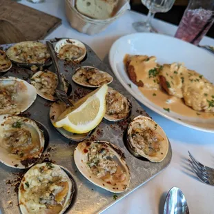 food, shellfish, mussels, oysters, oysters and mussels