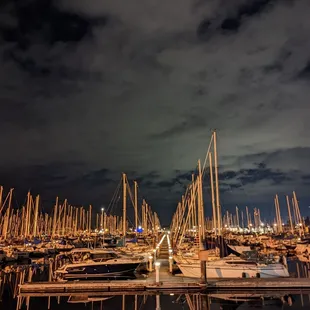 the marina at night