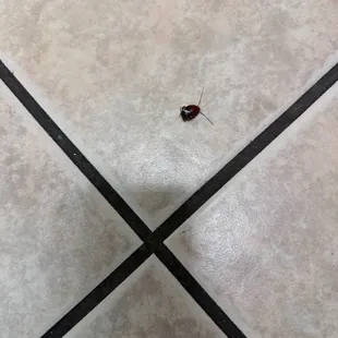 This was in the bridal suite where there was no a /c or Harley and the air going through the room