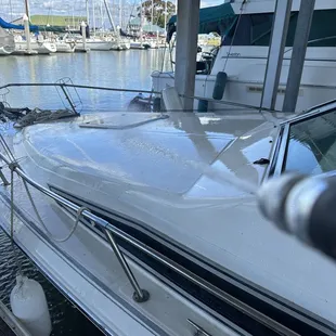 Searay