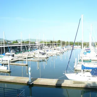 Morning view of the Antioch Marina