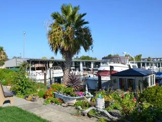 Driftwood Marina