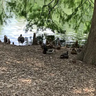 Antioch Park
