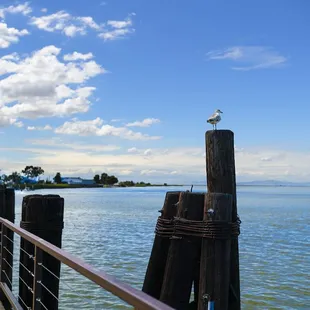 Antioch Public Fishing Pier