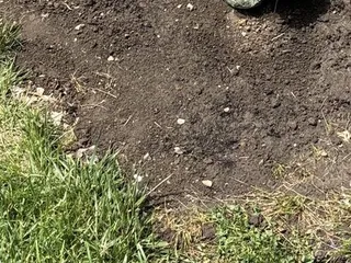 Homestead Landscaping Materials