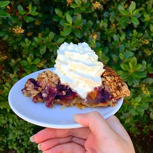 Blueberry peach pie with homemade whipped cream