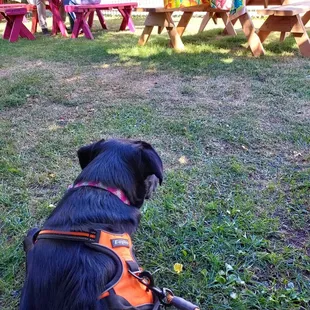 The Garden of Eatin outdoor seating area