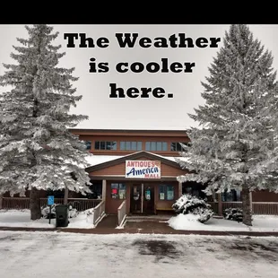 In Memory of trees lost by tornado... May 31 2022