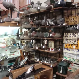 One of the 1st floor vendors...obviously a dude with a lot of hunting and hardware related stuff.