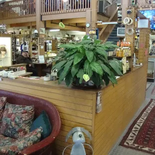 Main desk and checkout area, view from the front entry.