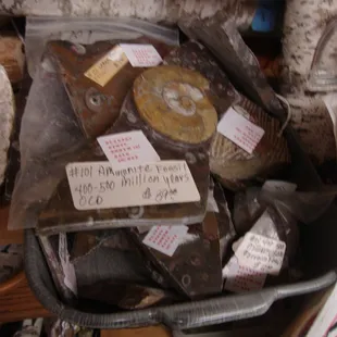 One vendor in the back corner has a lot of really nice fossils.