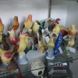 A flock of birds in one of the cabinets.