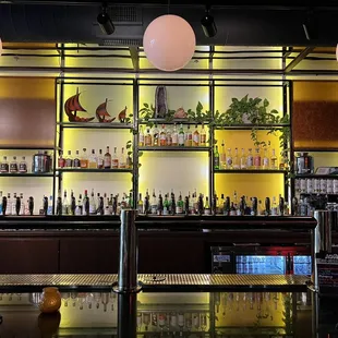 bottles of alcohol on shelves