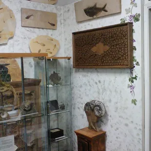 Huge array of museum grade fossils