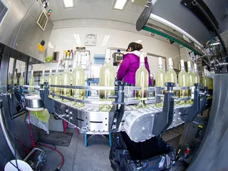 Scribner Bend Vineyards